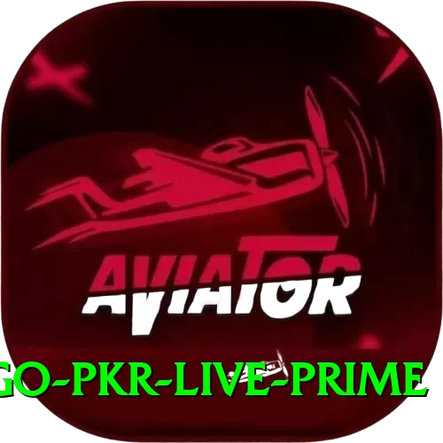 Bingo PKR Live Prime - 2
