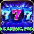 Pakistan Casino Gaming Pro