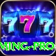 Pakistan Casino Gaming Pro